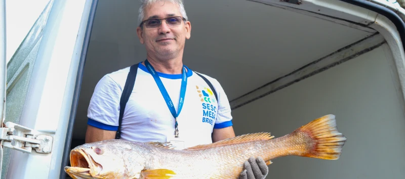 Sesc Mesa Brasil: Solidariedade que Alimenta e Transforma Vidas